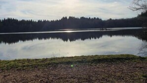 Un lago tranquilo con un bosque al fondo y un cielo despejado.