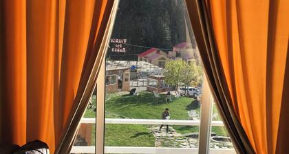 Hotel Village Inn Naran
