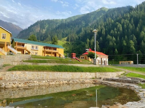 Hotel Village Inn Naran