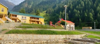 Hotel Village Inn Naran