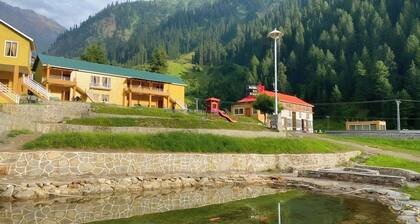 Hotel Village Inn Naran