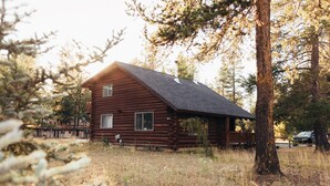 A rustic log cabin with a sloped roof, surrounded by tall trees and dry grass.