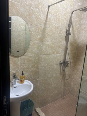 Shower, towels, toilet paper