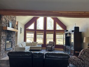 Smart TV, fireplace, books