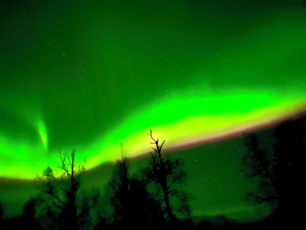 A night sky with the aurora borealis.