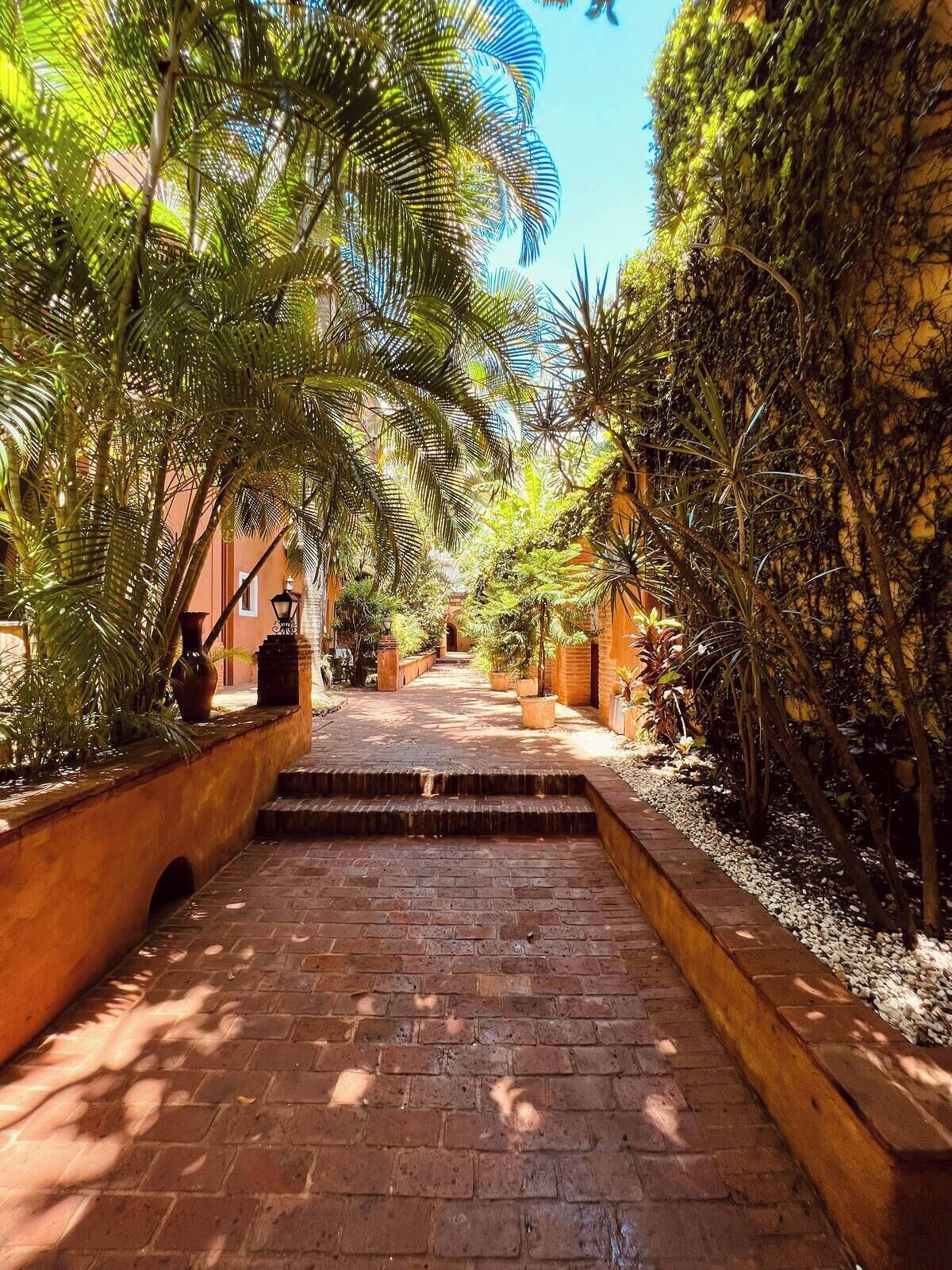 Foto - Paseo Colonial - Leo's Favorite