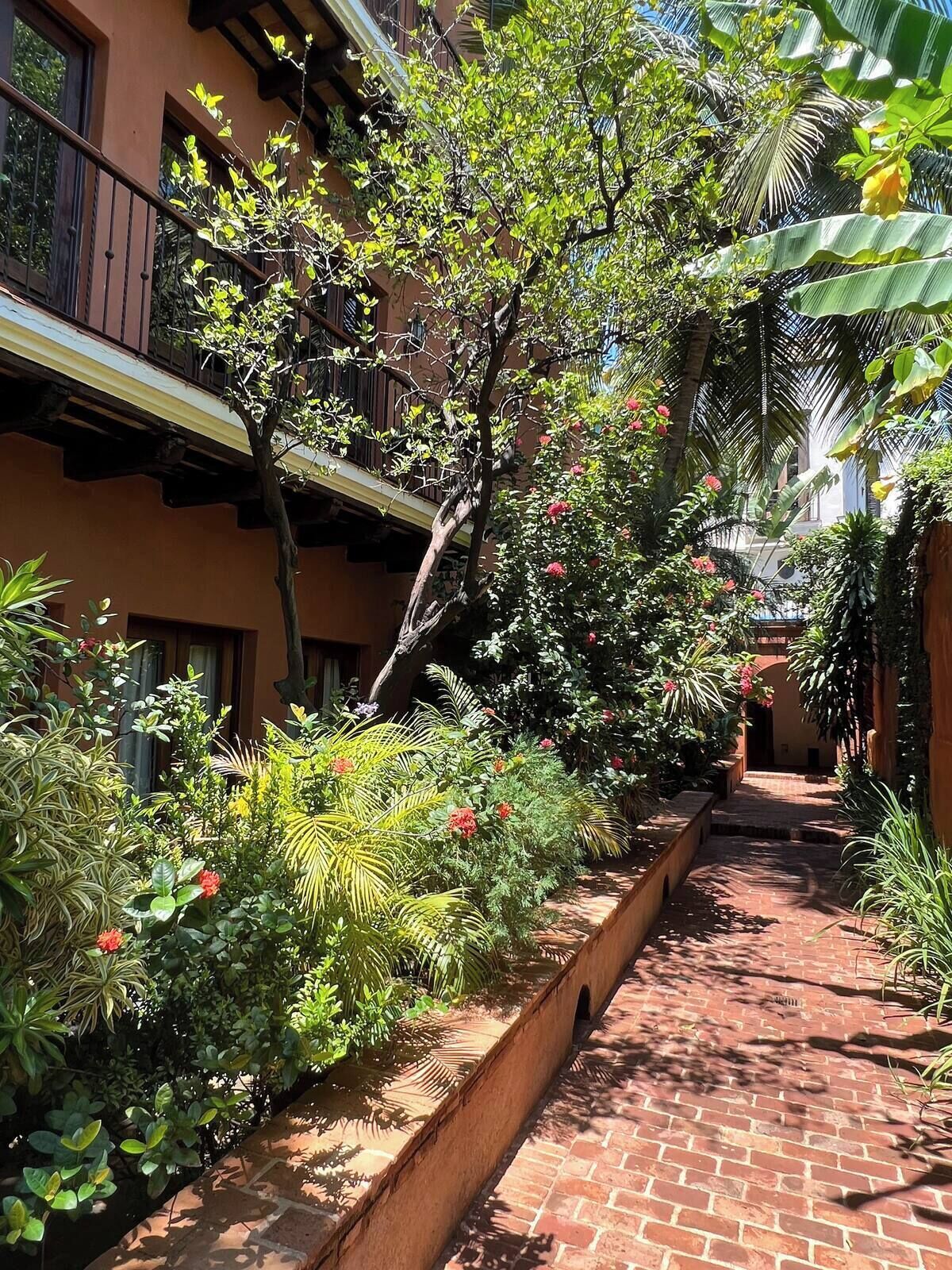 Foto - Paseo Colonial - Leo's Favorite