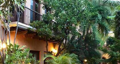 Paseo Colonial - Leo's Favorite