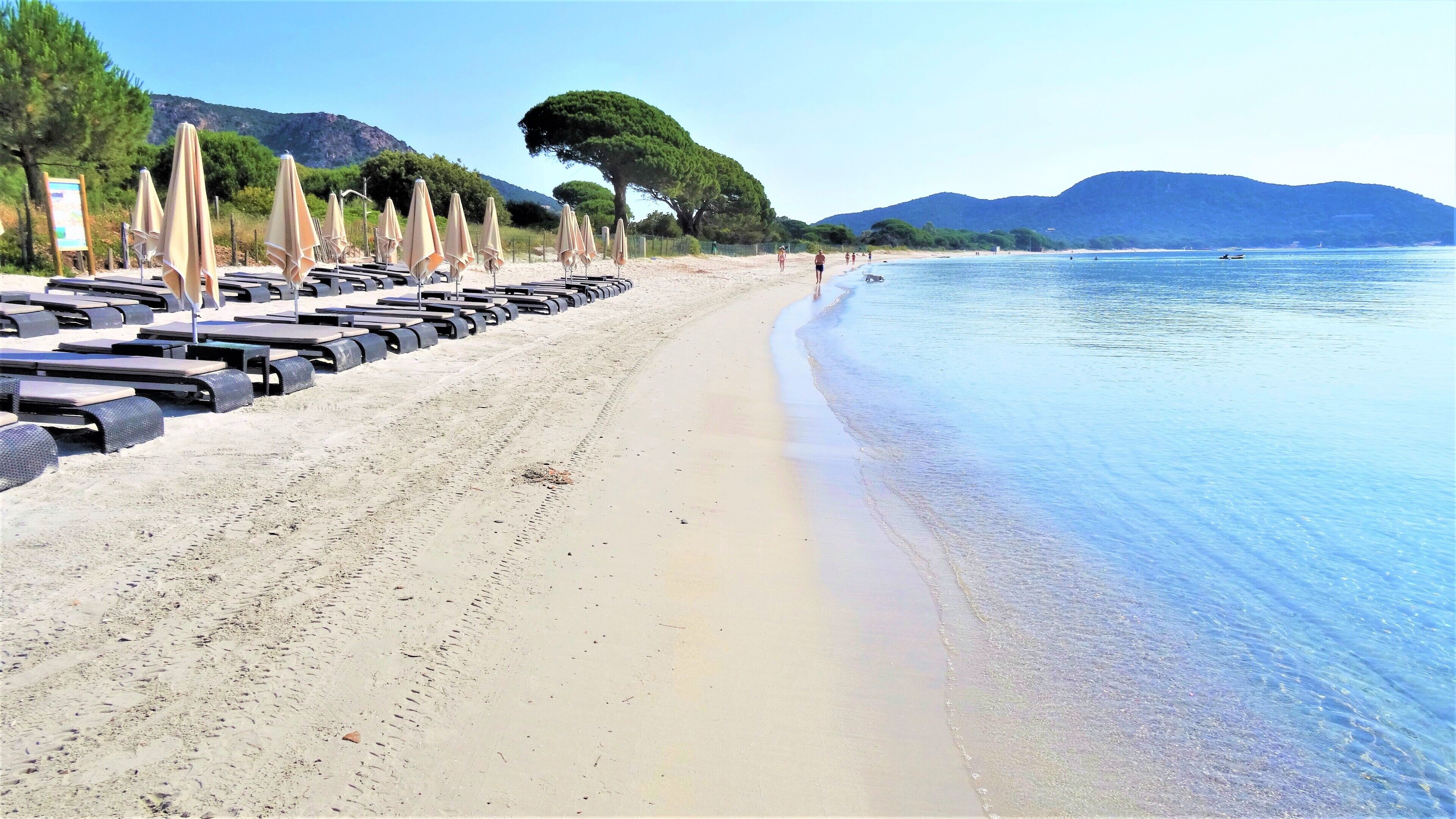 A beach with rows of sun loungers and umbrellas, a sandy shore, and a calm sea with mountains in the background.