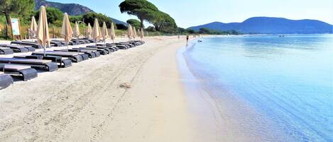 A beach with rows of sun loungers and umbrellas, a sandy shore, and a calm sea with mountains in the background.