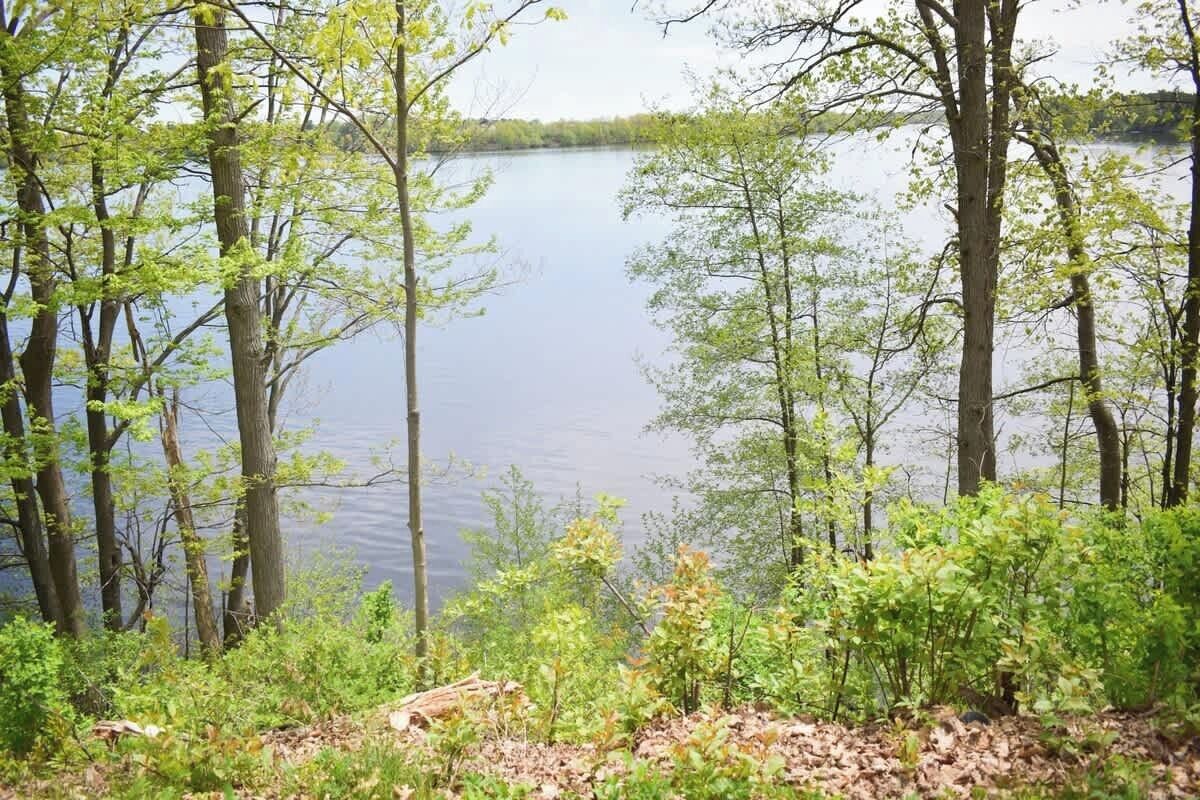 A natural landscape with a lake surrounded by trees and vegetation.