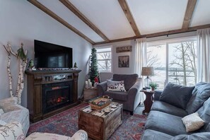 Télévision, cheminée, livres, espaces bureaux