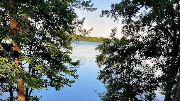 Eine Holzterrasse führt zu einem See, umrahmt von Bäumen.