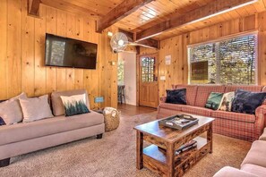 TV, fireplace, books, offices