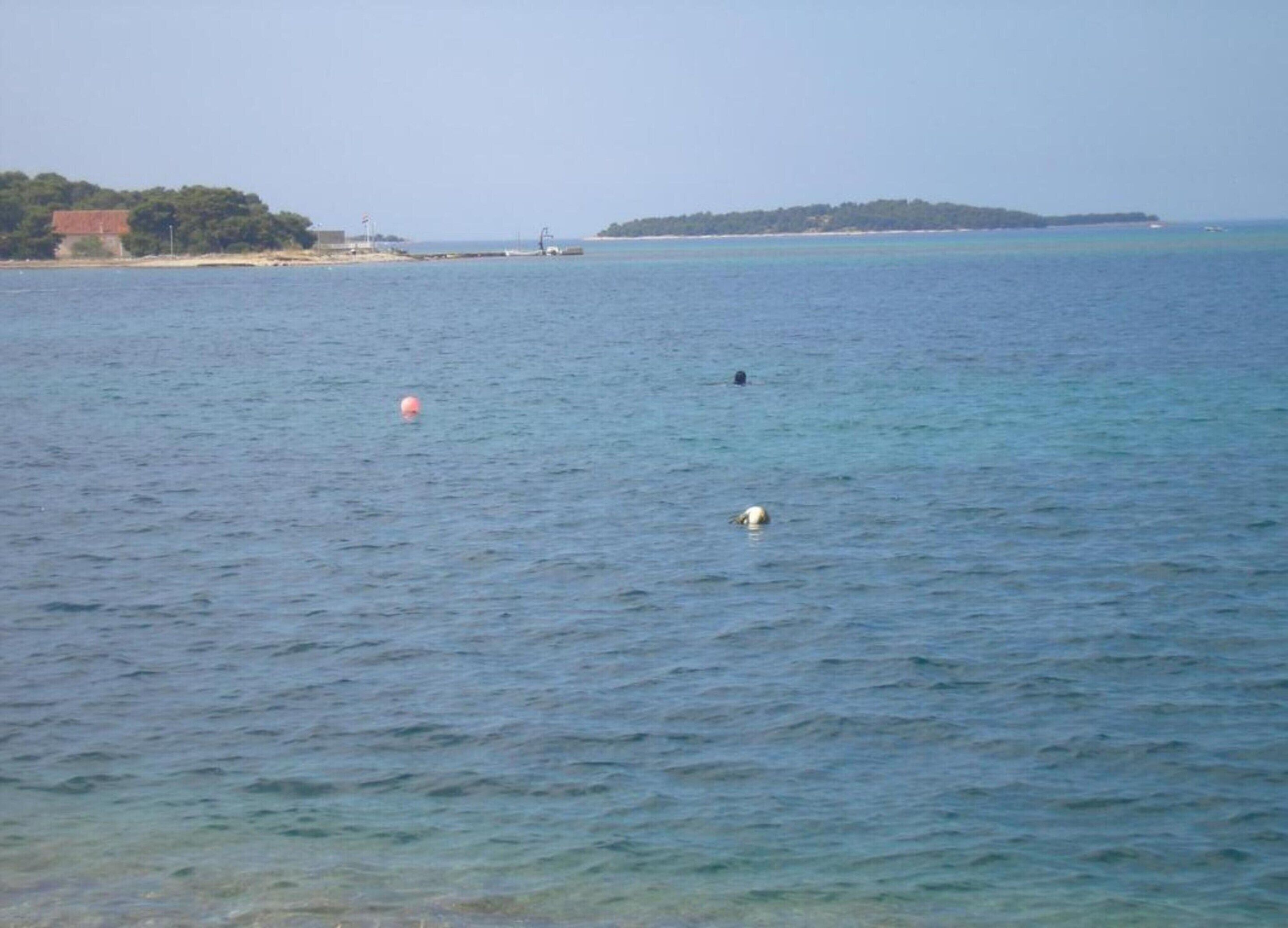 Ruhige See mit einem Bojen und einer schwimmenden Person.