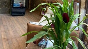 منطقة الاستقبال