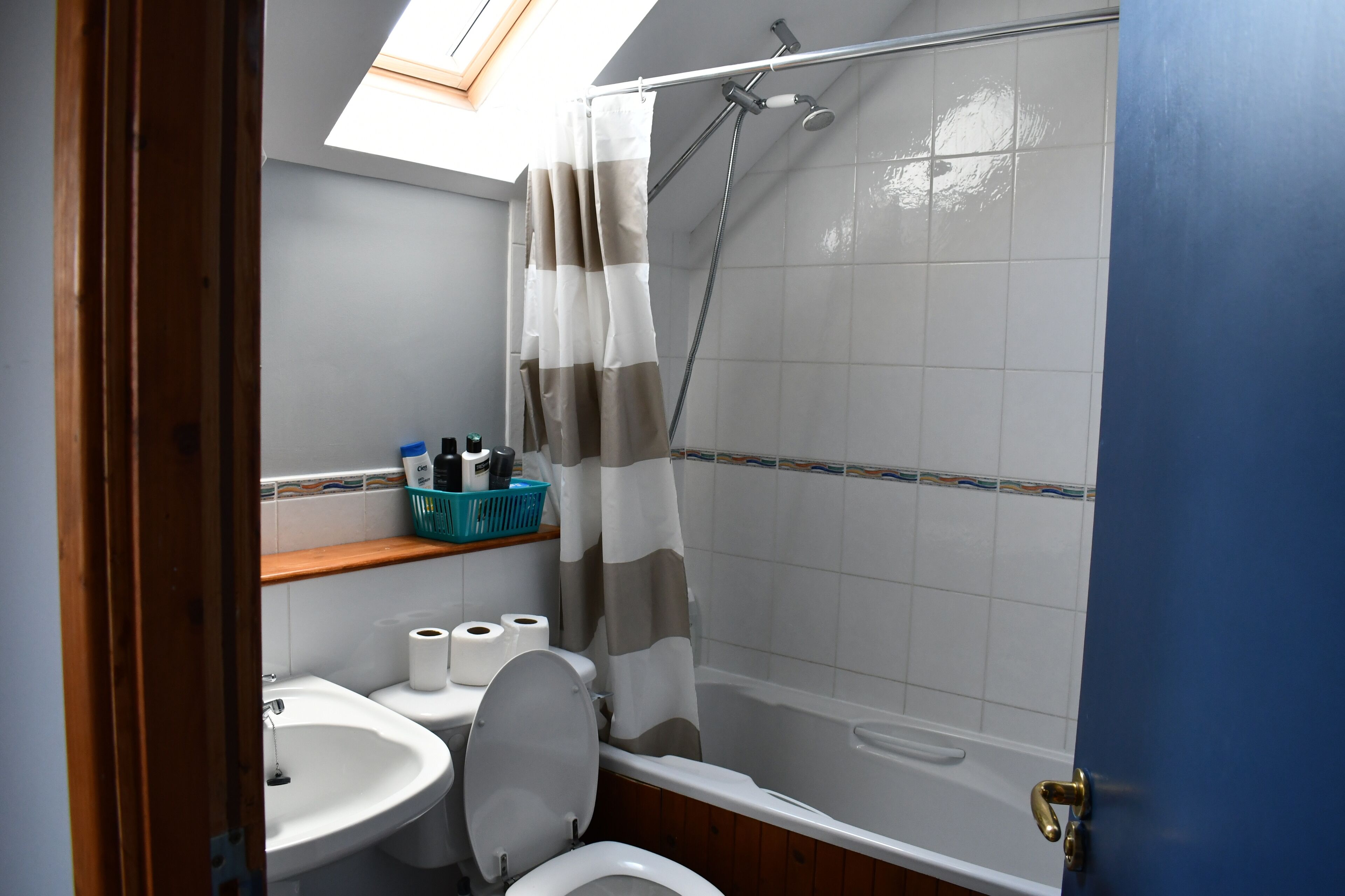 A bathroom with a skylight, a shower, a toilet, and a sink.