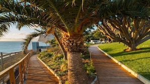 A wooden boardwalk with a palm tree and a grassy area beside a body of water. - GuestReady - Acqua Residences - Diamond (Funchal)