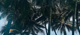 SkyBridge 2-Bedroom Apt. in central Monrovia with WiFi, Pool & Beach access.