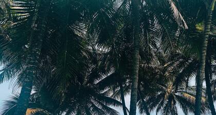 SkyBridge 2-Bedroom Apt. in central Monrovia with WiFi, Pool & Beach access.