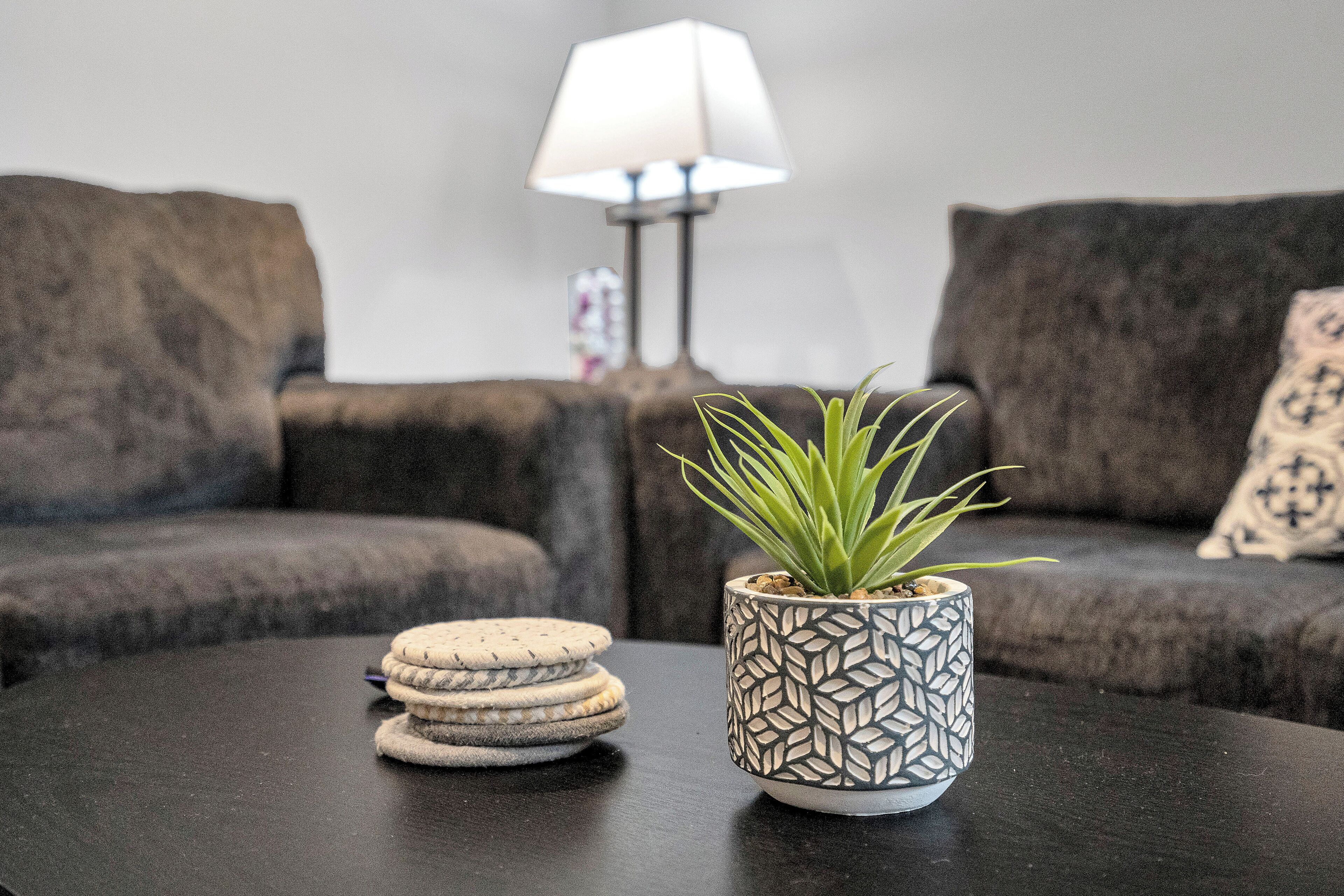A dark wooden coffee table with a potted plant and stacked coasters.