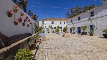 Terras
