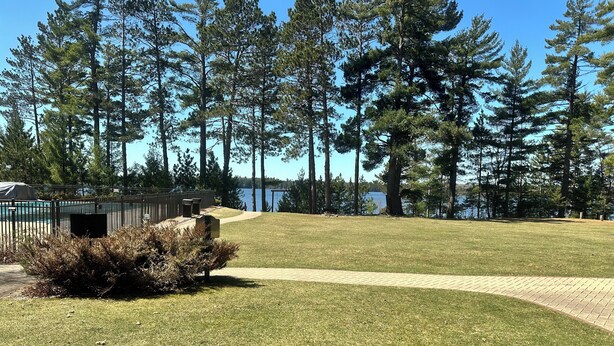 A grassy area with a pathway leading to a body of water, surrounded by tall trees. - Studio 113 By Eagle Waters Resort (eagle river)