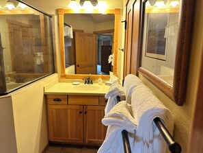 Hair dryer - Spirit of the Northwoods (eagle river)