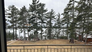 Blick auf einen von Zäunen umgebenen Außenbereich mit hohen Bäumen, einem kleinen Gebäude und einem Gewässer im Hintergrund.