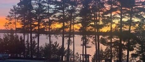 A view of a waterfront area with tall trees and a sunset in the background.