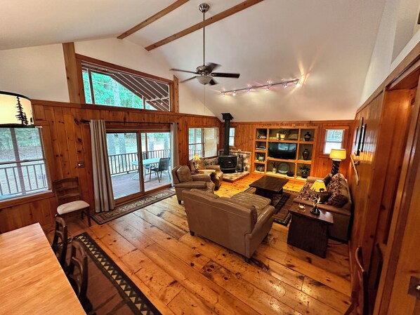 电视、DVD 播放器