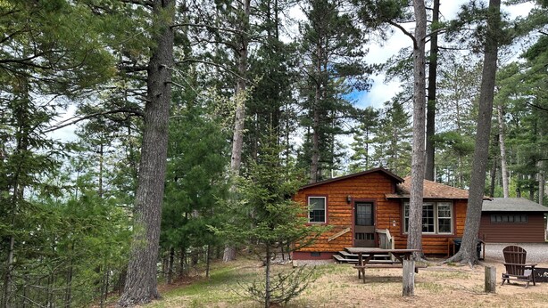 A cabin surrounded by tall pine trees. - Cabin 5 by Eagle Waters Resort (eagle river)