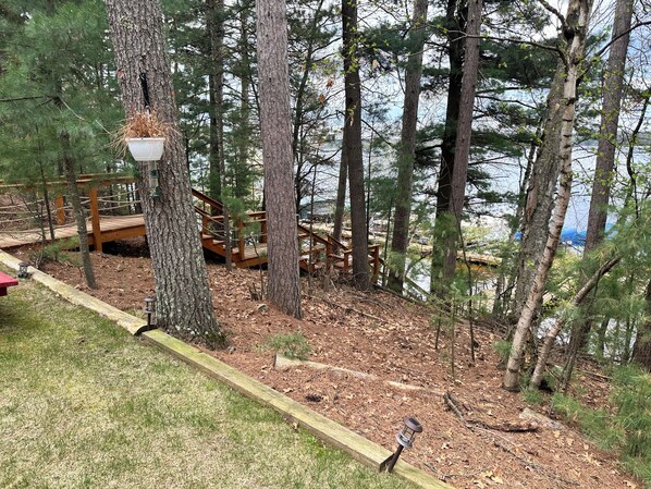 A forested area with a wooden bridge and a bird feeder.