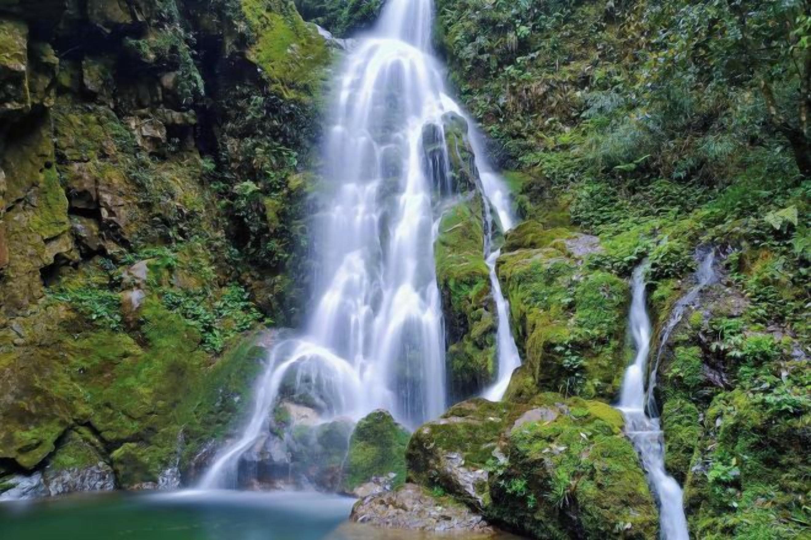 Una cascada se precipita sobre rocas cubiertas de musgo en un entorno forestal exuberante y verde.