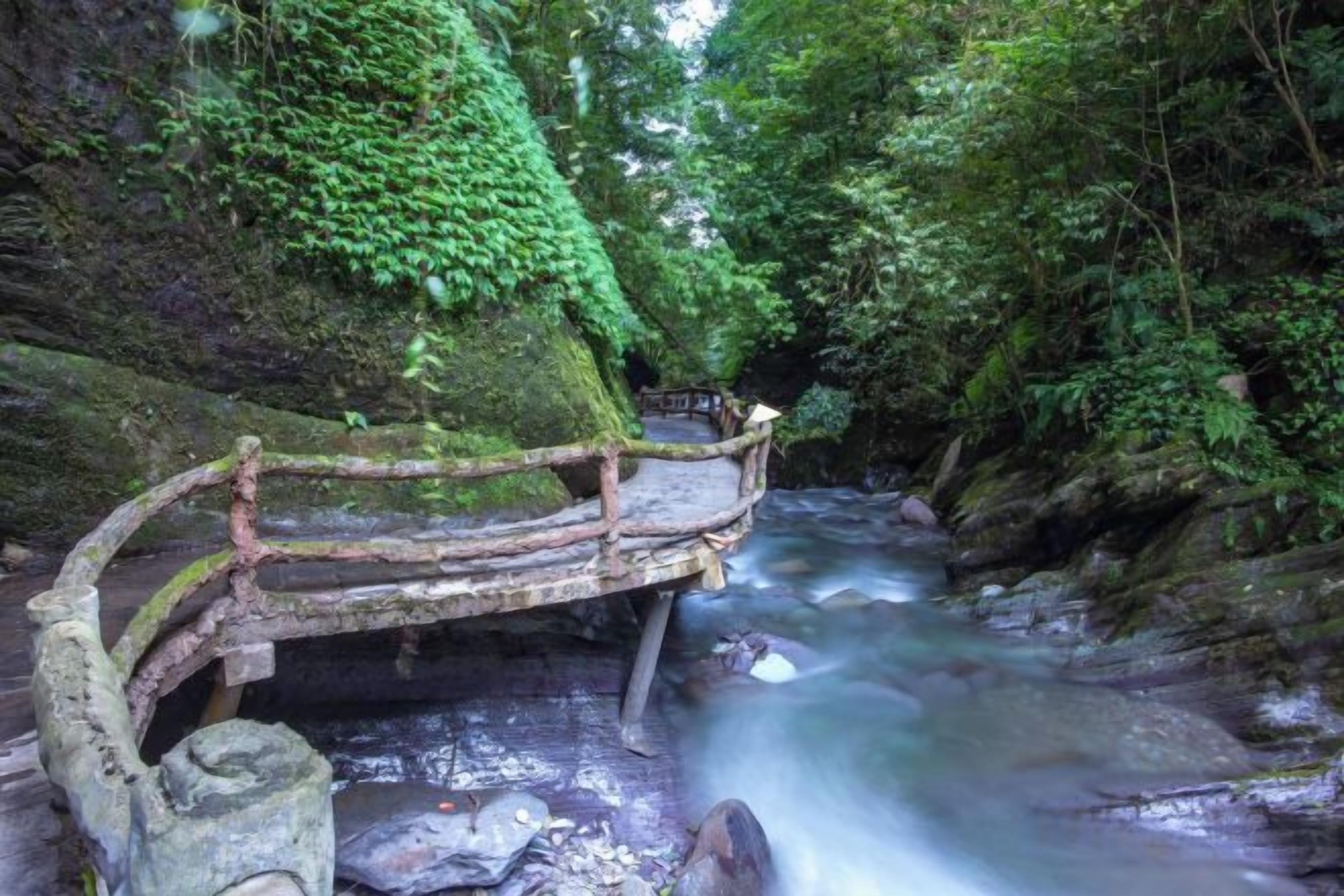 A rustic wooden bridge over a flowing stream in a lush forest.