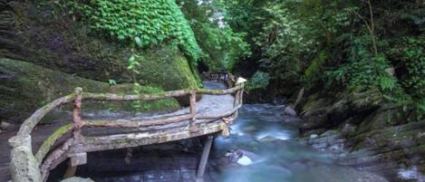 A rustic wooden bridge over a flowing stream in a lush forest.
