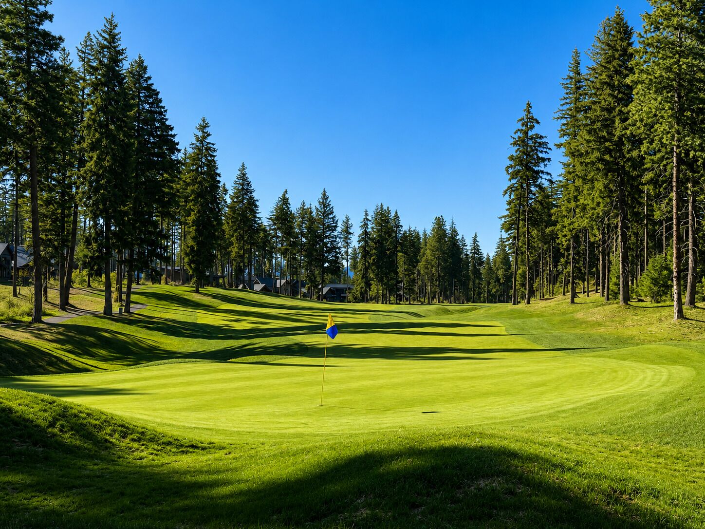 Un campo de golf con un marcador de bandera, rodeado de altos árboles y un cielo azul despejado.
