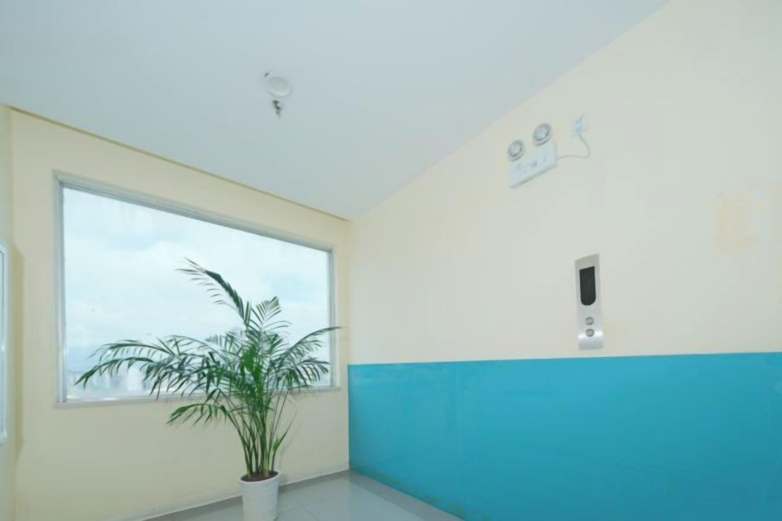 Una habitación con un ventanal grande, una planta en maceta y un dispositivo fijado a la pared.