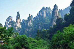Unclassified image, 2 of 25, button - Zhangjiajie Ancient and Modern Inn (Zhangjiajie)