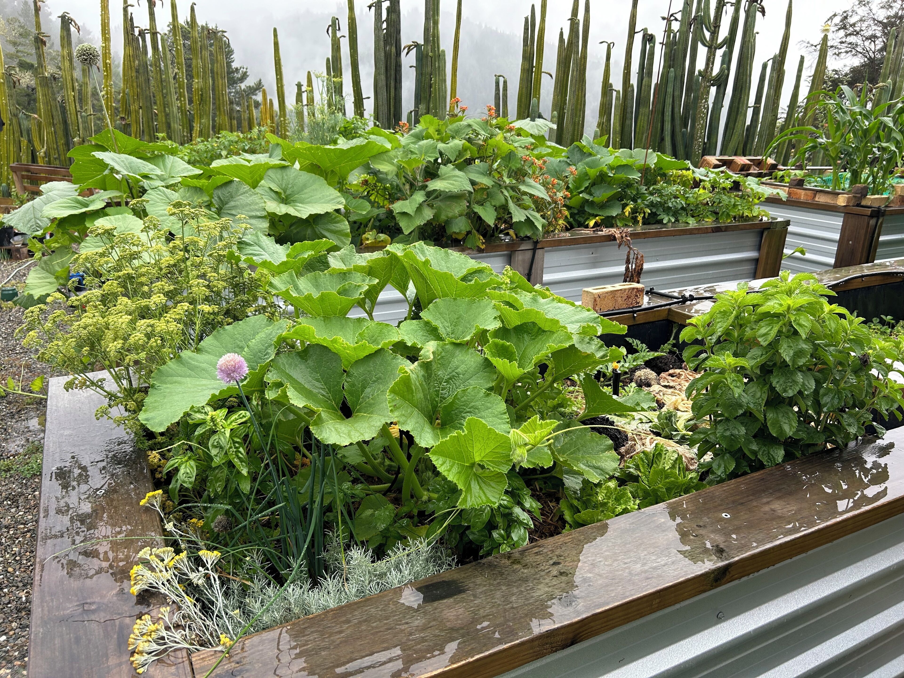 Jardines del alojamiento