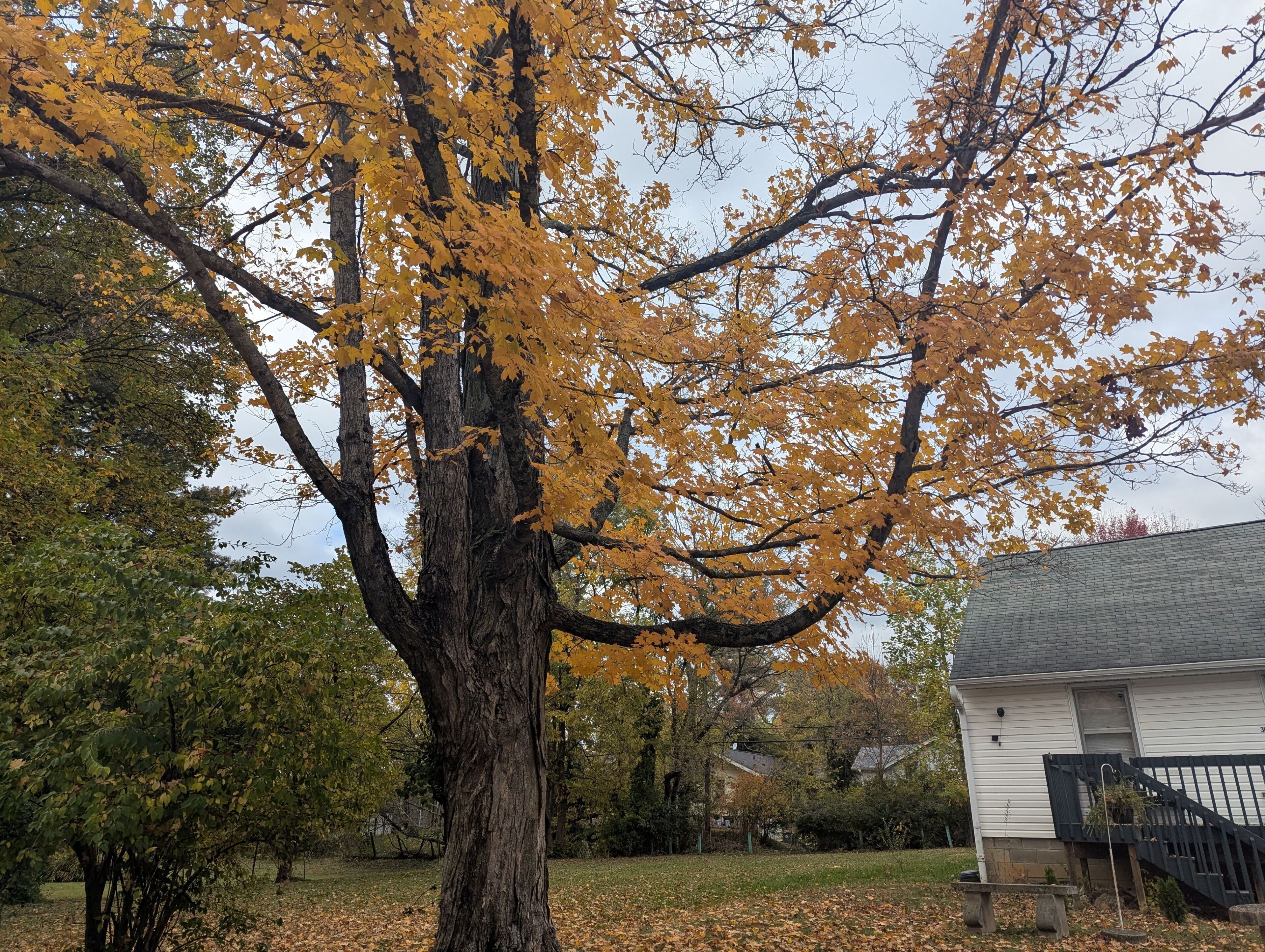 Área da propriedade