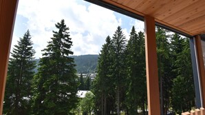 Blick von einem Zimmer mit großen Fenstern auf hohe Nadelbäume und ein entferntes Gebirge.