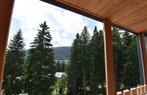 Interior - Spinale Duplex Apartment MhD (Madonna di Campiglio)