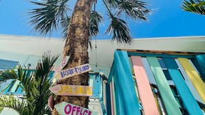 Eine Palme mit Schildern, die 'Strand', 'Büro', 'Kajaks & Stand-Up-Paddles', 'Jeel Skis' und 'Piet Go Tour' anzeigen.