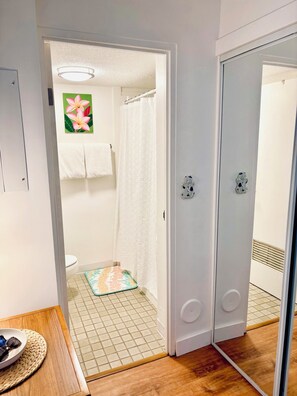 Shower, hair dryer, towels, soap