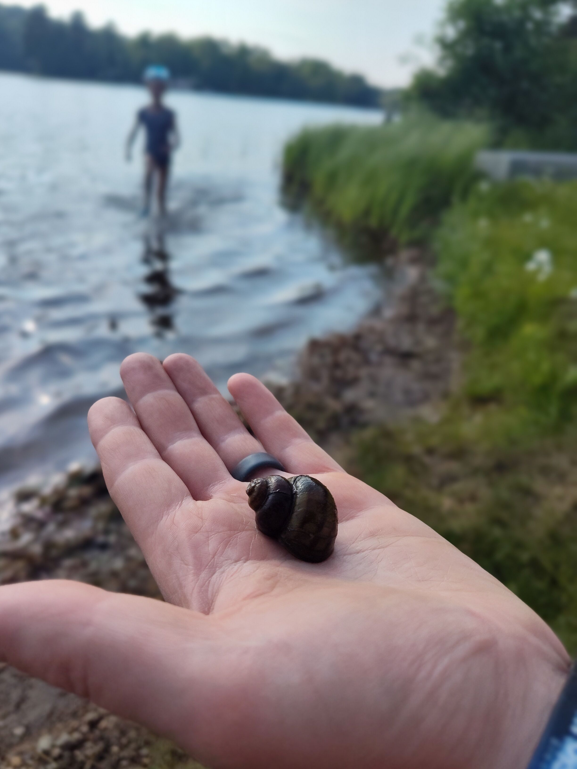 Eine Hand hält eine Schnecke, deren Körper mit Wasser gefüllt ist, im Hintergrund ist eine Person zu sehen.