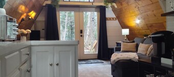 Wintery Cabin-Berkshires! Dog-friendly. Hike/Ski Appalachian Tr. Walk to lake!