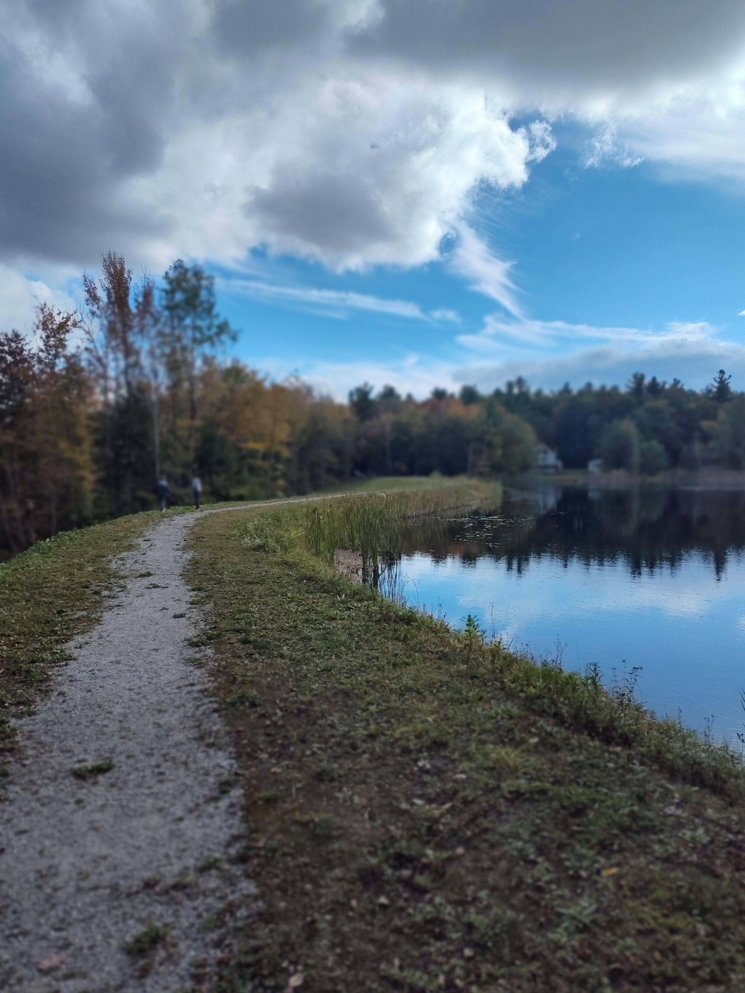 A pathway leading to a calm lake with trees and a clear sky.