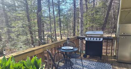 Dog Friendly A-Frame in the Berkshires! Walk to lake with beach access!