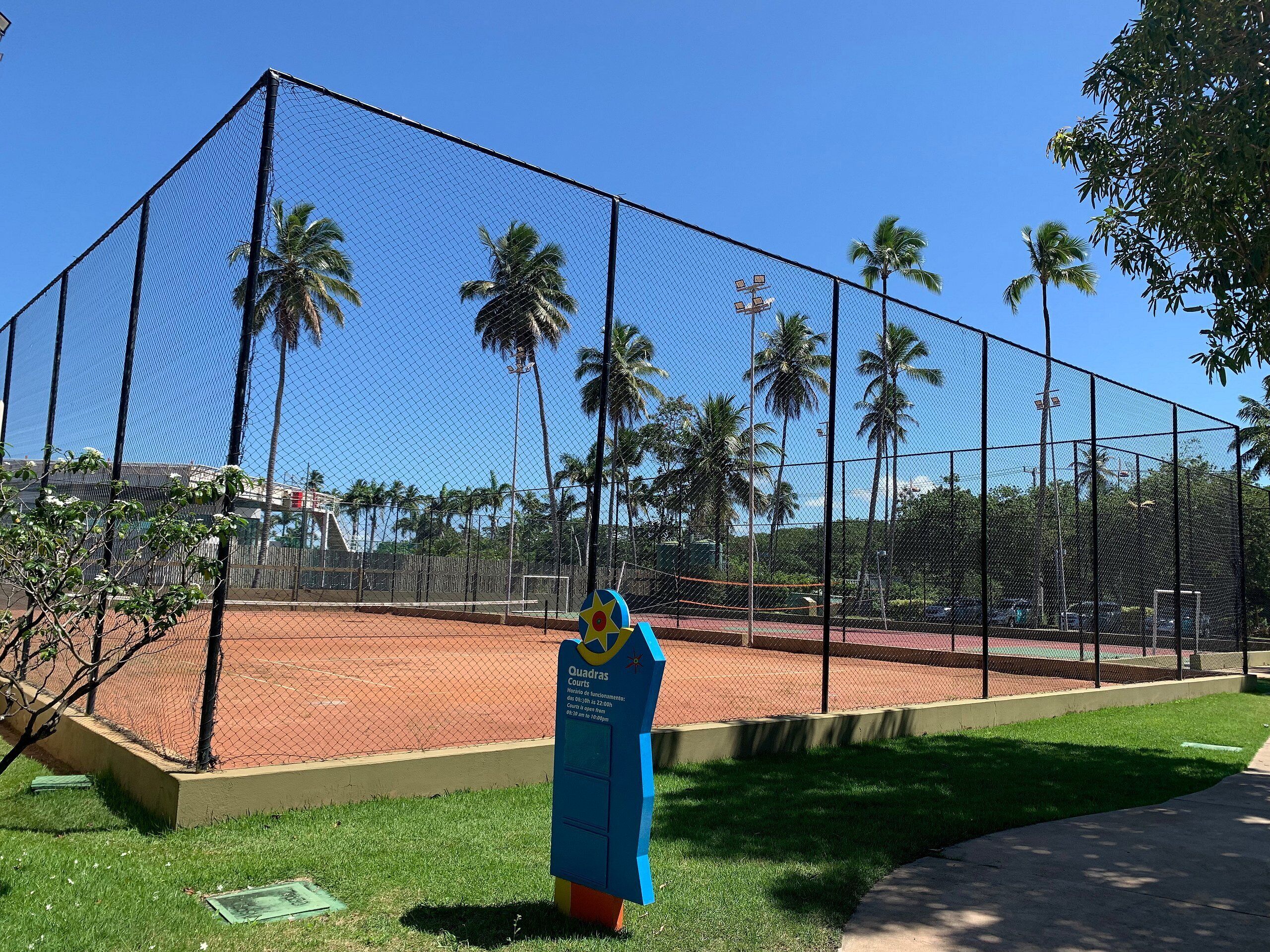 A fenced sports court with a blue sign, palm trees, and a clear sky.
